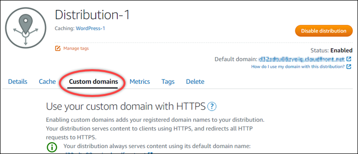 Screenshot custom domain